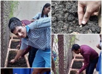 Nature Club – 24.7.2019