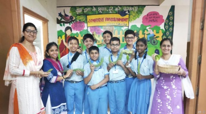 Organic Vegetables grown by students of SVP Nature Club on school Terrace – 3.10.19