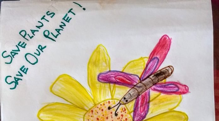 Anvi Srivastava – Std 2, Mumbai